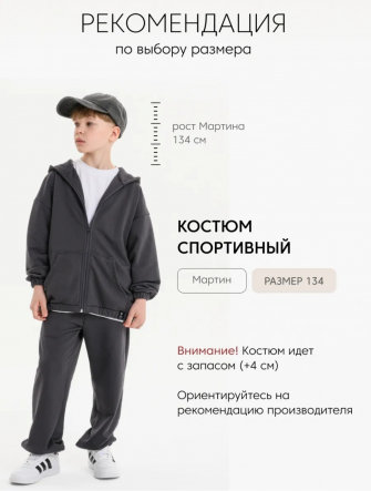 LF kids, костюм “Зип” спортивный на молнии с капюшоном (цвет серый)