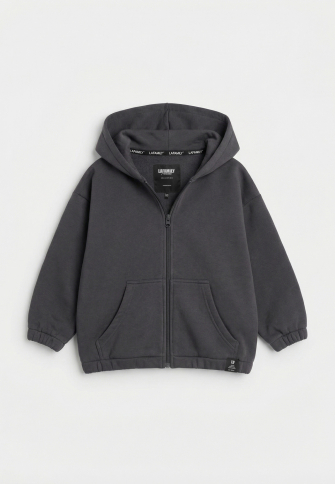 LF kids, костюм “Зип” спортивный на молнии с капюшоном (цвет серый)