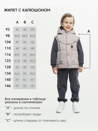 LF kids, жилет демисезонный с капюшоном, цвет графит